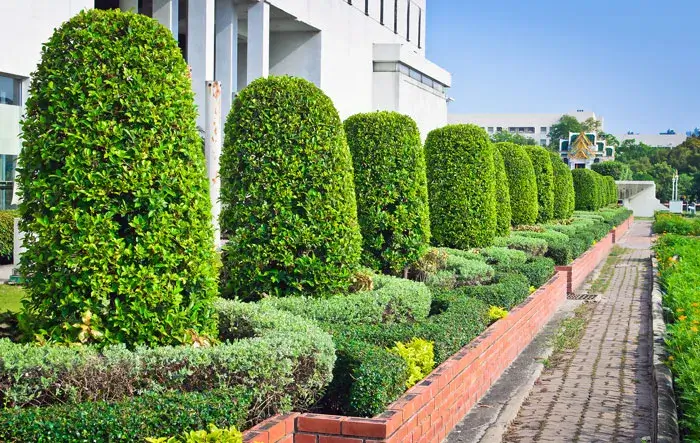 Reliable Tree Services Reliable Tree Services