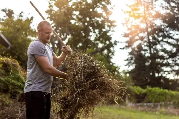 De Leon Tree Services's Other Services De Leon Tree Services's Other Services