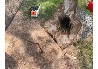 Great Tree Service