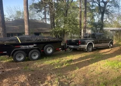 Tree Maintenance