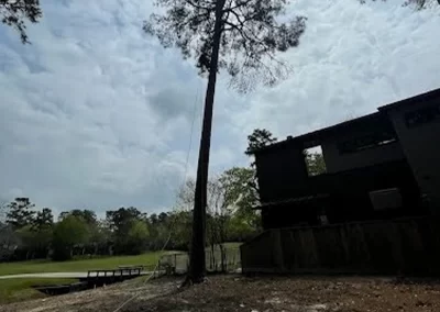 Trusted Tree Service