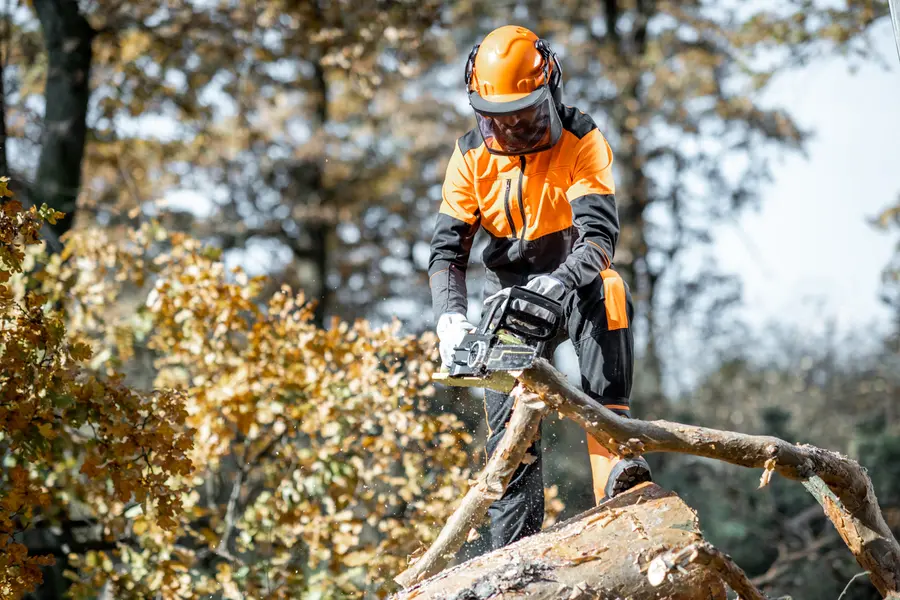 Tree Cutting And Insurance Compliance Tomball, TX