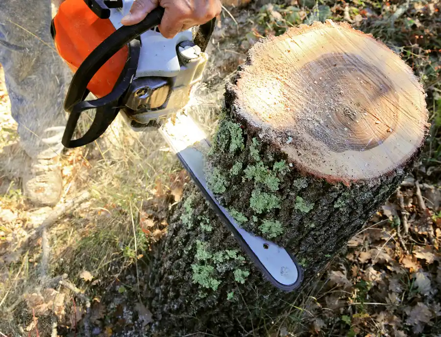 Tree Cutting And Insurance Compliance in Tomball, TX