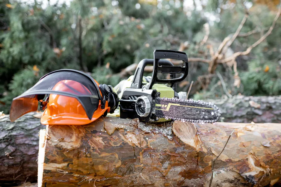 Tree Cutting To Prevent Property Damage Tomball, TX