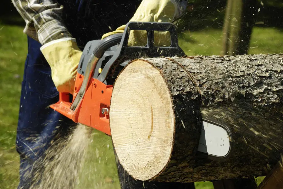 Tree Removal And Landscape Planning Tomball, TX